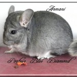 Armani, Porteur Blue Diamond