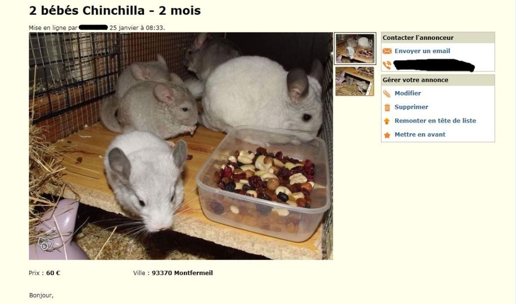 Fruits secs et noix (toxiques) donnés comme friandises! Bébés vendus à 2 mois.