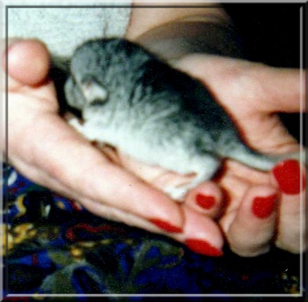 1995.1