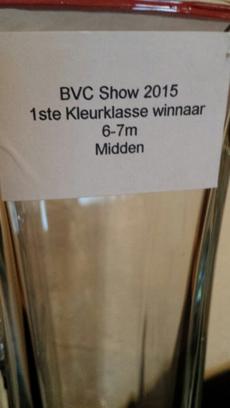 standard