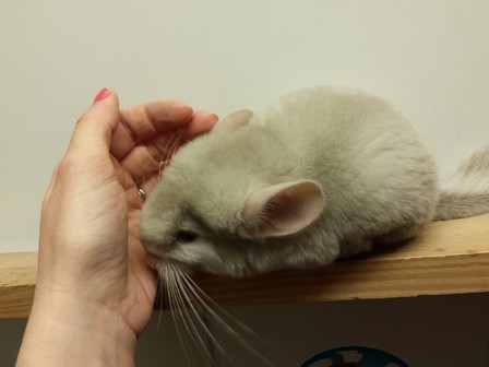 Crumble 17.04.11 (21)