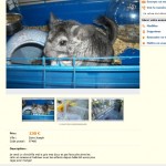 Probablement cage à lapin, boule en verre (très risqué), "habitué aux enfants" = chinchilla n'est pas un animal destiné aux enfants!