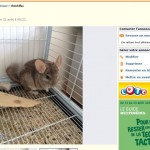 Grilles sur fond de cage à éviter, abîme les pattes, risque en plus de rester coincer et de se briser un os.