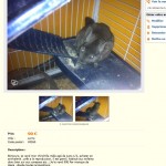 Plastique dans la cage, boule en verre "prêt à la reproduction": chinchilla de type compagnie qui ne devrait pas reproduire.