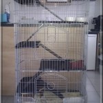 Cage d'Igloo (pour lui tout seul)
