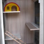Cage de Kimo chez Corinne en Moselle (57)